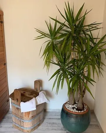 Wastl Sankt Michael im Lungau