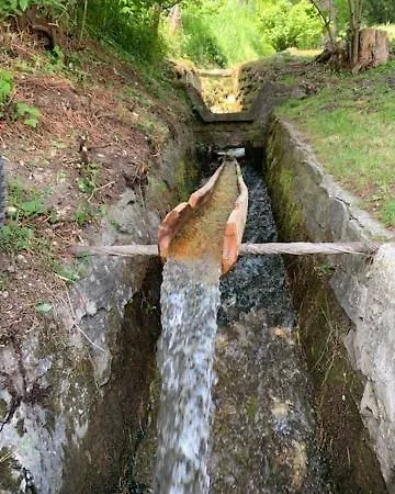 Wastl Sankt Michael im Lungau